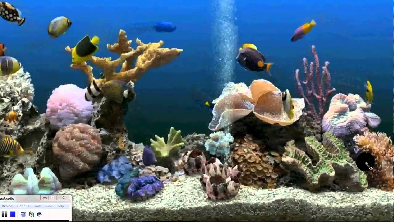 3d aquarium screensaver for windows xp free download